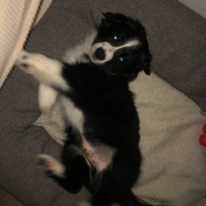 Meet your Posher, Brett